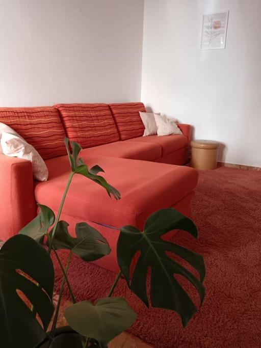 Forti Genova-Free Parking Castellaccio Apartment Экстерьер фото